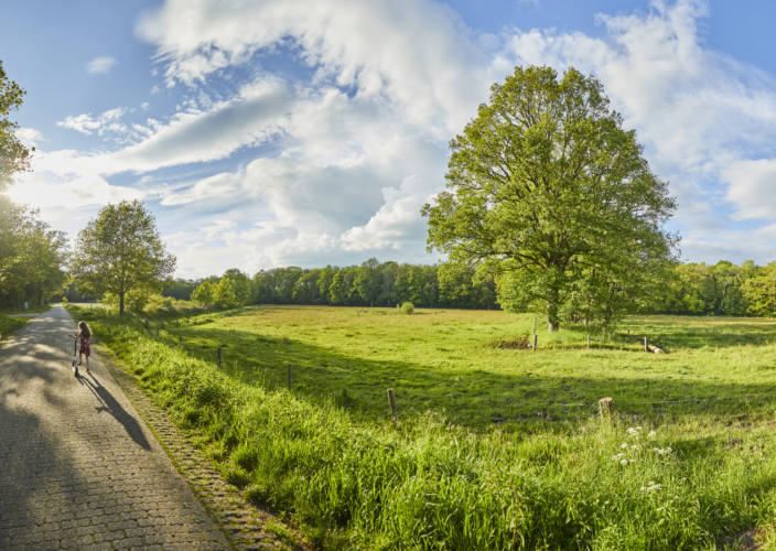 Omgeving Het Winkel