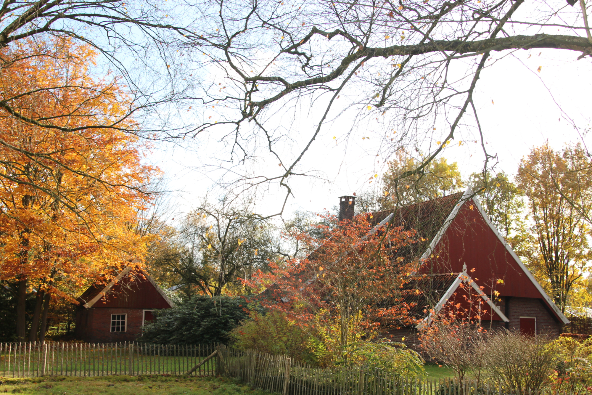Accommodatie in de herfst